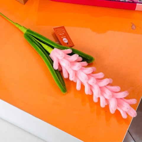 Hoa kẽm nhung lavender