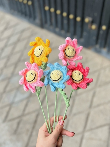 Hoa len cúc mặt cười