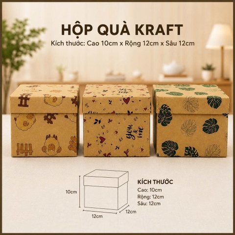 Hộp quà VC 12x12cm NT