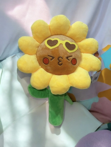 Hoa hướng dương bông mini