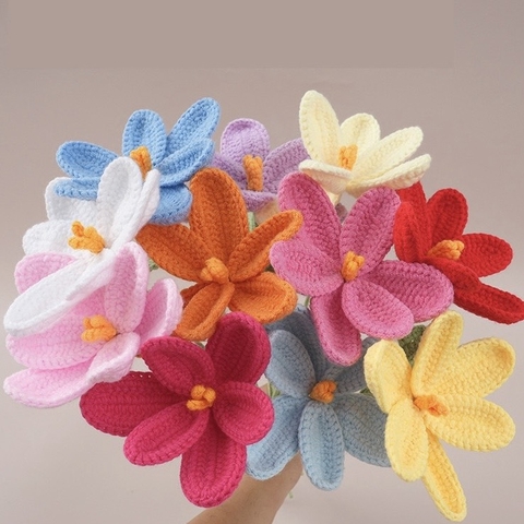 Hoa len Tulip cánh TVL