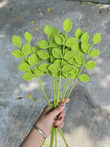 Hoa len cành lá xanh