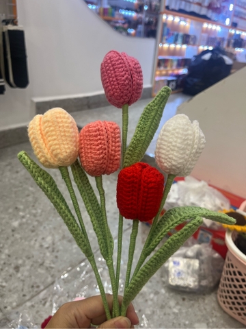 Hoa Tulip cánh mềm