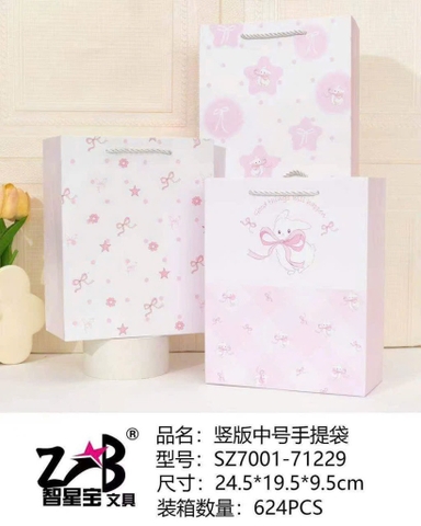 Túi quà dây dọc 24,5x19,5x9,5cm