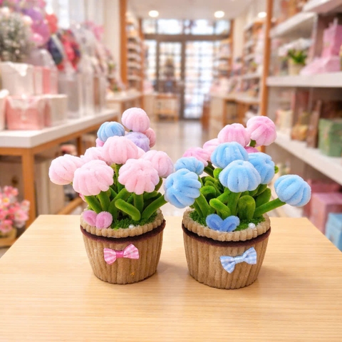 Chậu hoa Tulip kẽm nhung