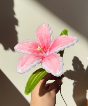 Hoa kẽm nhung ly viền sóng