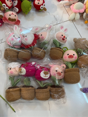 Chậu hoa len đầu thú ĐN