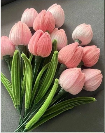 Hoa kẽm nhung Tulip 3 cánh