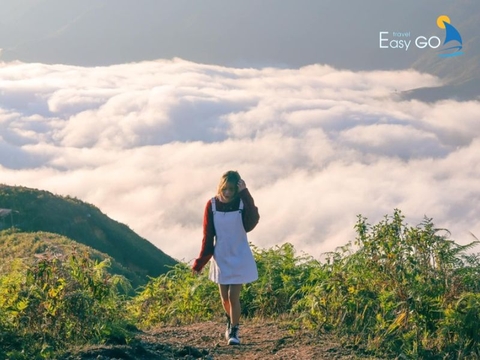 Review chi tiết các địa điểm săn mây Tà Xùa đẹp nhất 2024