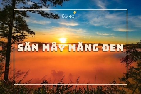 Review Săn Mây Măng Đen Chân Thực Nhất Từ Tín Đồ Du Lịch