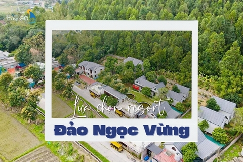 Nên Lựa Chọn Resort Đảo Ngọc Vừng Nào Phù Hợp Và Thuận Tiện Nhất?