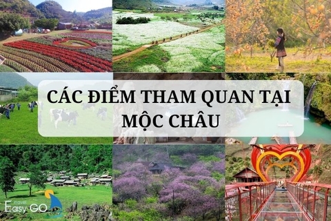 Điểm Du lịch Mộc Châu nổi tiếng: Các điểm tham quan tại Mộc Châu