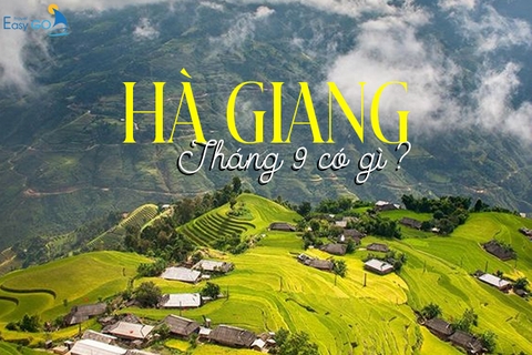 Du lịch Hà Giang tháng 9 có gì đẹp? Review Mùa Lúa Chín - Ruộng Bậc Thang