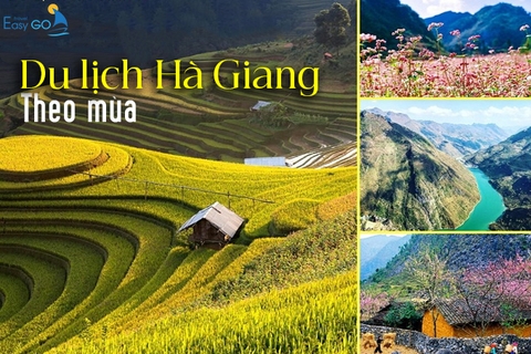 Hà Giang Mùa Nào Đẹp? Khám Phá Kinh Nghiệm Du Lịch Hà Giang Theo Mùa