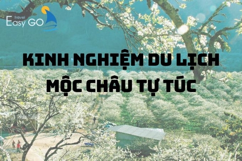 Kinh nghiệm du lịch Mộc Châu tự túc đầy đủ từ A đến Z cho người mới