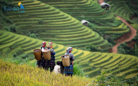 Du lịch mùa đông miền Bắc: 5 địa điểm lý tưởng nhất dành cho bạn