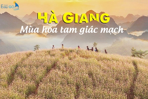 Du Lịch Hà Giang Mùa Hoa Tam Giác Mạch Trên Cao Nguyên Đá