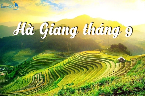 Kinh nghiệm du lịch Hà Giang tháng 9 - mùa lúa chín đẹp nao lòng