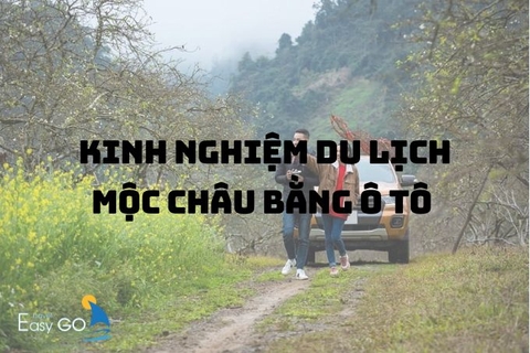 Kinh nghiệm du lịch Mộc Châu tự túc bằng ô tô tự lái đầy đủ, chi tiết