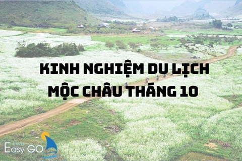 Kinh nghiệm du lịch Mộc Châu tháng 10 có gì đẹp