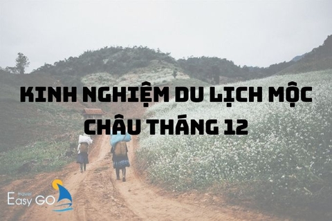 Bỏ túi Kinh nghiệm du lịch Mộc Châu tháng 12: Ăn gì, chơi gì, ở đâu?