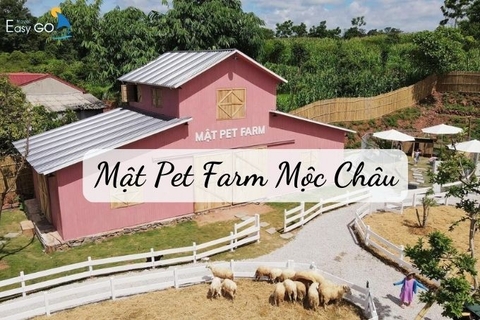 Review Mật Pet Farm Mộc Châu - Trang trại thú cưng mới siêu HOT 2024