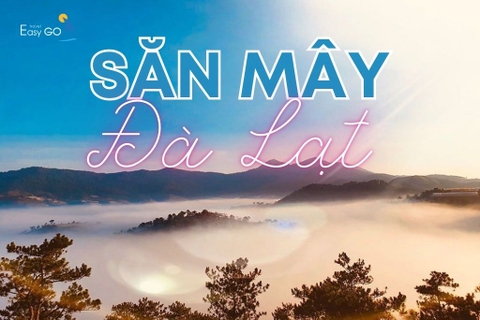 Bí kíp săn mây Đà Lạt chuẩn của tín đồ du lịch