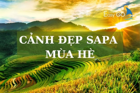 Cảnh đẹp Sapa mùa hè - Khám phá "thiên đường nghỉ mát" Sa Pa
