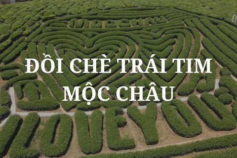 Review Đồi chè Trái tim Mộc Châu