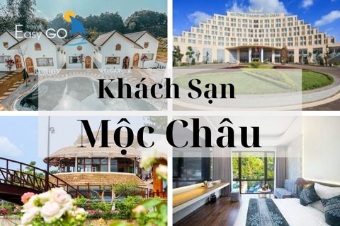 Gợi ý chọn khách sạn Mộc Châu chất lượng nhất khi du lịch Mộc Châu 2024