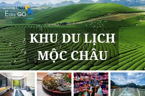Du lịch Mộc Châu 2024: khám phá thiên đường hoa Tây Bắc