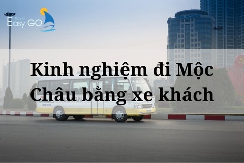 Kinh nghiệm du lịch Mộc Châu bằng xe khách có thể bạn chưa biết