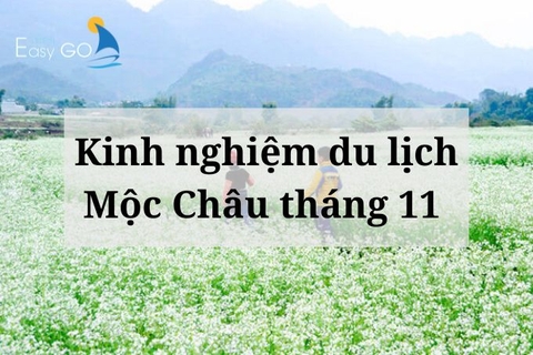 Kinh nghiệm du lịch Mộc Châu tháng 11 chi tiết bạn nên bỏ túi
