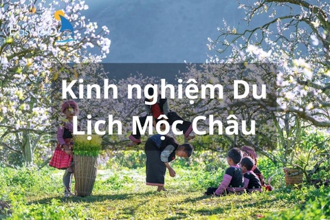 Tổng hợp Kinh nghiệm du lịch Mộc Châu chi tiết nhất 2024