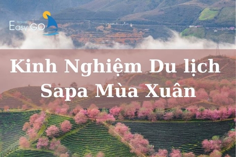 Kinh nghiệm du lịch Sapa mùa Xuân hữu ích