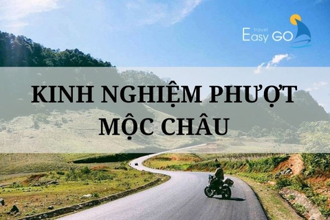 Kinh nghiệm Phượt Mộc Châu tự túc: A-Z thông tin cần thiết cho bạn
