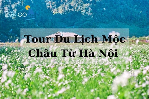 Tổng hợp các tour du lịch Mộc Châu từ Hà Nội trọn gói, giá tốt nên chọn