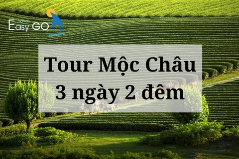 Tour Mộc Châu 3 ngày 2 đêm - hành trình khám phá Mộc Châu 3N2Đ trọn vẹn nhất