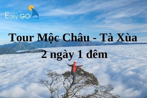 Hành trình săn mây hấp dẫn với Tour Mộc Châu Tà Xùa 2 ngày 1 đêm