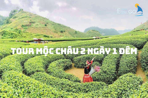 Tour Mộc Châu 2 ngày 1 đêm - tour du lịch Mộc Châu dành cho người bận rộn