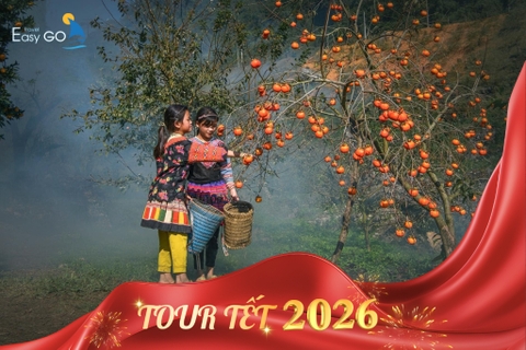 TOUR DU LỊCH HÀ NỘI – MỘC CHÂU 3 NGÀY 2 ĐÊM | TOUR TẾT 2026