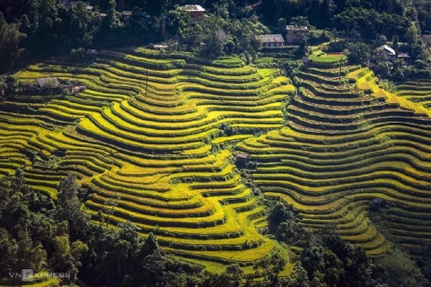 TOUR HÀ NỘI – HOÀNG SU PHÌ – SIMACAI - BẮC HÀ 3 NGÀY 2 ĐÊM