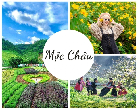 DU LỊCH MỘC CHÂU - 2 NGÀY 1 ĐÊM