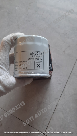 Lọc dầu Ford Ecosport