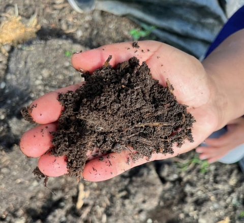 Mùn măng tây hữu cơ