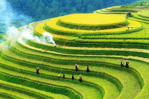 KHÁM PHÁ MỘC CHÂU - CẦU KÍNH BẠCH LONG