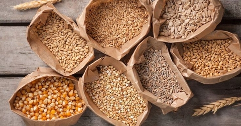 Beta - glucans của men vi sinh và khả năng miễn dịch (P4)