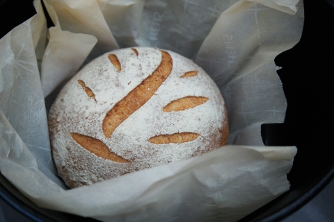 Beta - glucan men bánh mì được uống thúc đẩy cân bằng glucose và lipid trong gan (P2)