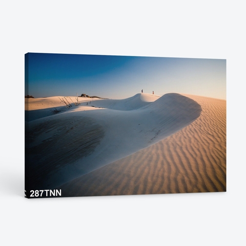 Tranh đồi cát 287TNN