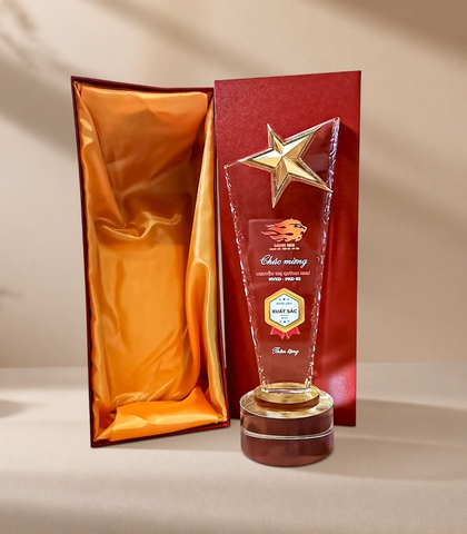 Kỷ niệm chương TL – KNC02